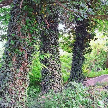 Holiday home Mars Na Drinu Bajina Basta