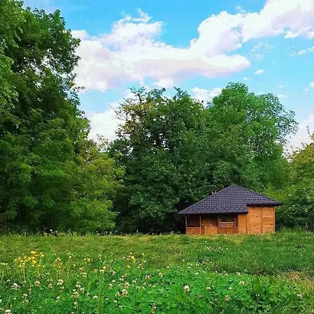 Holiday home Mars Na Drinu *