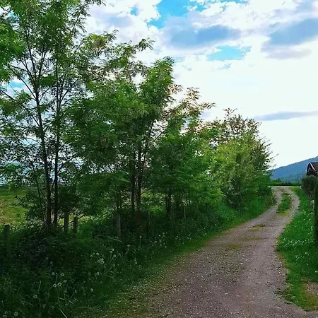Ferienhaus Mars Na Drinu *
