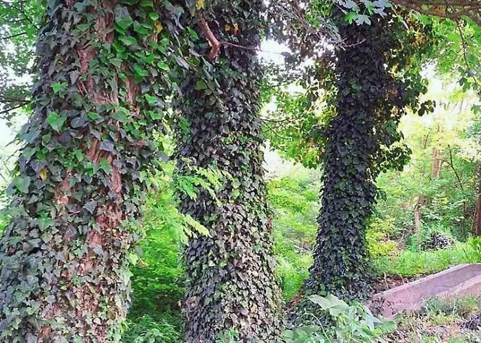 Holiday home Mars Na Drinu Bajina Basta